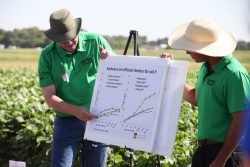 Soy Bean Growers Association-2015-0080