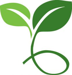 Seedling_rgb