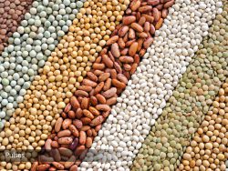 pulses