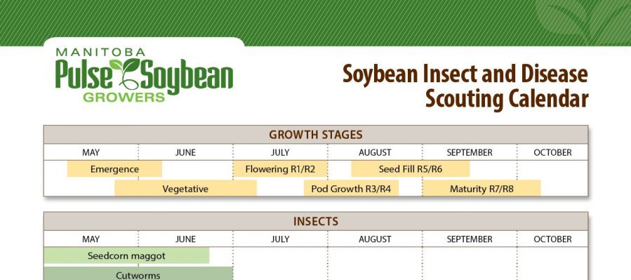 Soybean Insect And Disease Scouting Calendar Manitoba Pulse Soybean