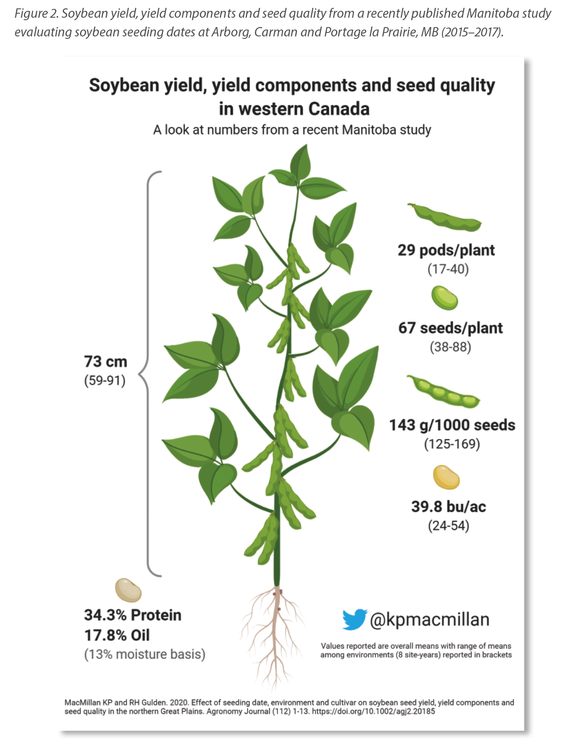 Soybean Plant Diagram at Mattie Stewart blog